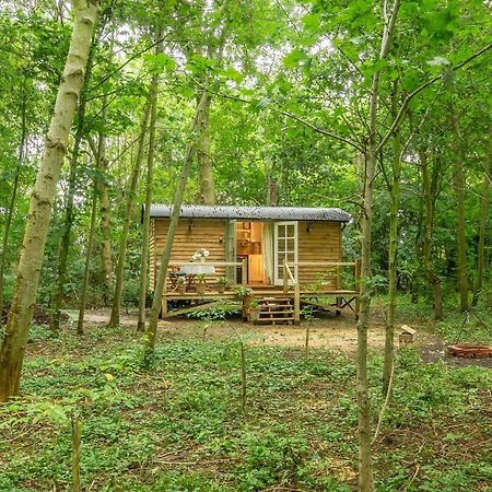 Woodland Retreat Shepherds Hut Villa Brundish Kültér fotó