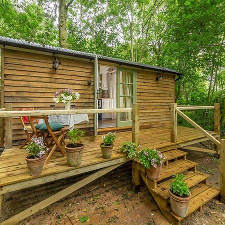 Woodland Retreat Shepherds Hut Villa Brundish Kültér fotó