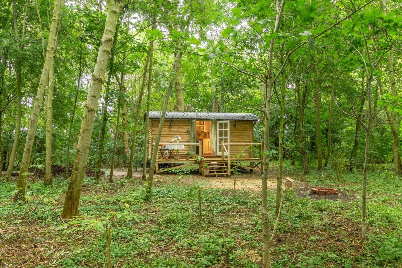 Woodland Retreat Shepherds Hut Villa Brundish Kültér fotó